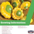 thumbnail image 2 of Harris Seeds - Squash Y-Star Variety Scalloped Edged Golden Yellow - 250 Seeds, 2 of 7