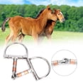 thumbnail image 4 of Filete de acero inoxidable broca en forma de D de acero inoxidable accesorios para herramientas para caballos Broca en forma de D de acero inoxidable para caballo ANGGREK Otros, 4 of 8