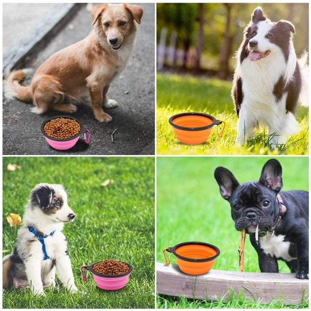 Portable water dog bowl sale