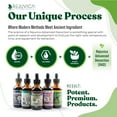 thumbnail image 5 of Rejuvica Health VitaLiver Liver Support Supplement with Milk Thistle & Artichoke, 2 fl oz, 5 of 6