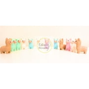 Bunch of Baby Llamas Assorted Colors (20)