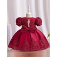 thumbnail image 3 of HLONK Robe de Fête en Dentelle pour Bébé Fille, Perles Décoratives, Robe Tutu pour Mariage Anniversaire, Robe Mignonne avec Nœud, 3 of 7