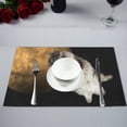 thumbnail image 4 of ECZJNT Funny Cat Flying Sky Placemat Plate Holder Set of 2, Full Moon Starry Night Table Mats Protector 12x18 inch, 4 of 5