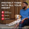 thumbnail image 2 of Desparasitante Frontline Heartgad Plus Merial Perro 23-45kg Frontline MEC272, 2 of 9