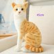 thumbnail image 1 of Gatos siameses realistas de peluche, juguete de simulación de pelo corto americano, muñeco de gato bonito, juguetes para mascotas, decoración del hogar, regalo de cumpleaños para niñas, 1 of 5