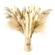 thumbnail image 1 of Plantas Decorativas 100pcs Pampas Secas Flores Artificiales Xtellar amarillo, 1 of 3
