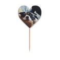 thumbnail image 1 of Lazy Dog Animal sentimental la foto Etiqueta del corazón de la bandera del palillo de dientes, 1 of 3