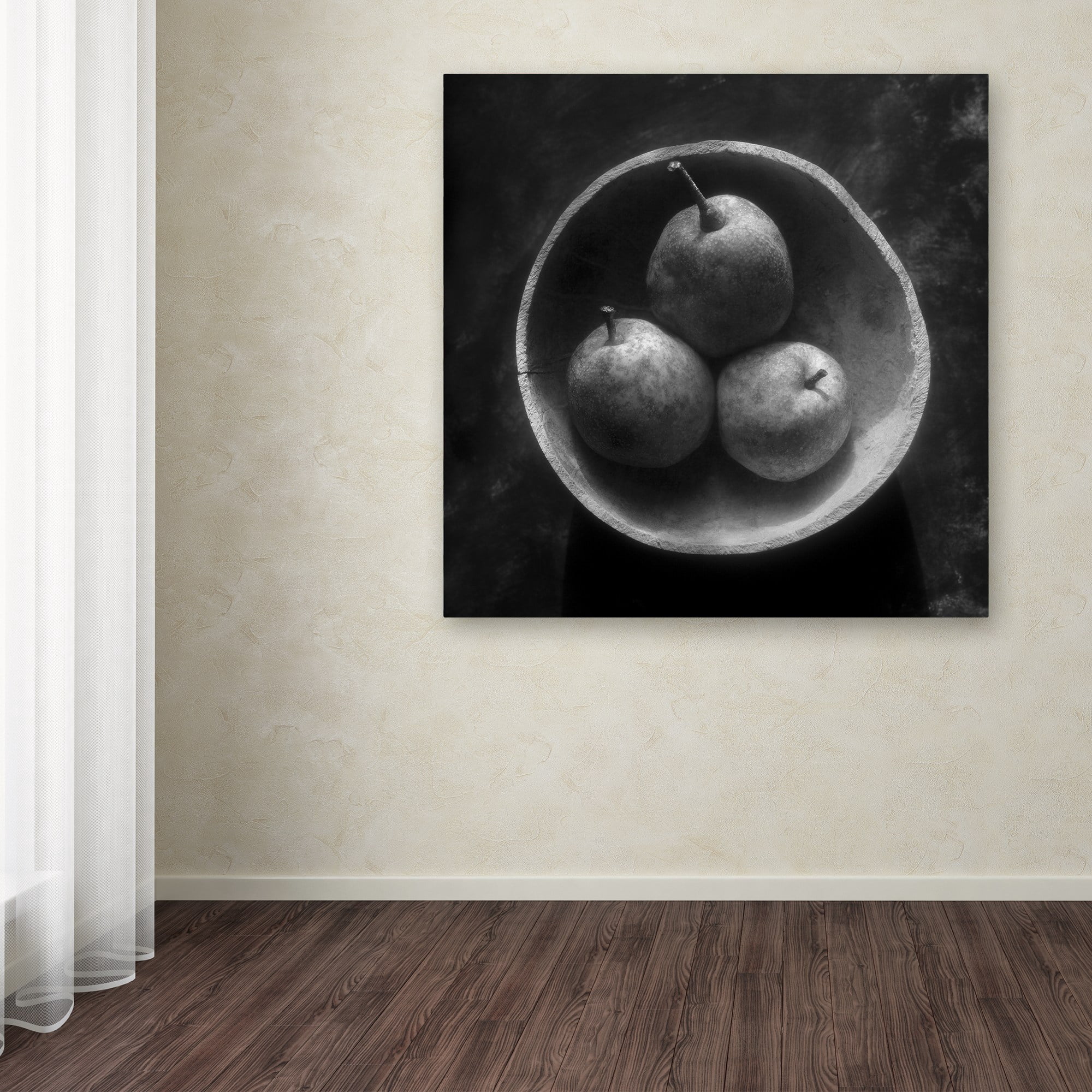 Trademark Fine Art "Circulo de Peras" Canvas Art by Moises Levy