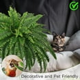 thumbnail image 3 of 45" Fake Ferns, Realistic Large Artificial Bush Plants, 2 Artificial Boston Ferns with 59 Fronds, 3 of 7