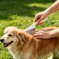 thumbnail image 3 of 2 Pcs Flea Comb Set, Stainless Steel Pet Lice Tick Remover, Large & Small for Dogs Cats Grooming, White, 3 of 6