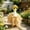 G, variant on Cififendec Summer Porch Goose Outfit, 23" Goose Figurine Bathrobe Costume for Outdoor Yard Garden Summer Themed Party Decor Accessory