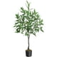 thumbnail image 1 of QinaQin Árbol artificial de eucalipto con hojas de seda realistas, planta decorativa para interior o exterior, ideal para sala, oficina, entrada o porche, 1 of 8