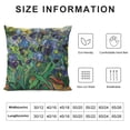 thumbnail image 6 of Acheng  Van Gogh Irises In The Garden Throw Pillow Cover Set of 2 Oil Painting Grass Floral Bouquet Bud Botanical Plant Beautiful Pillow Case Decorative Men Women White, 6 of 6