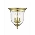 thumbnail image 3 of Livex Legacy Support de Plafond en Laiton Poli, 3 of 4