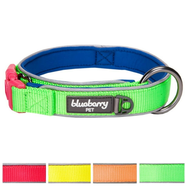 Blueberry Pet Soft & Comfy Summer Hope 3M Reflective Padded Dog Collar