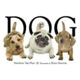 thumbnail image 1 of Pre-Owned Dog (Hardcover) 1416941371 9781416941378, 1 of 1