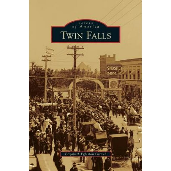 Twin Falls (Hardcover)