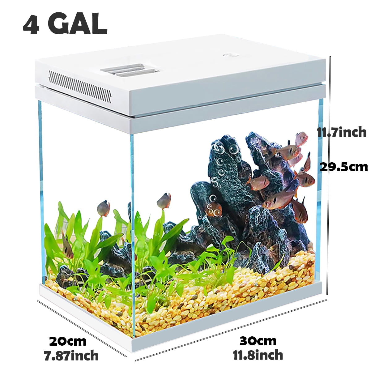 Fish Tank, 4 Gallon Nano-Aquarium, Upgrade Filter System and LED Light, for Freshwater & Marine, Filter Balls Included (4 Gal)