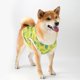 thumbnail image 2 of Zhuge Chaleco para perros y gatos, chaleco transpirable para mascotas, sudadera para cachorros, ropa para perros, prendas de vestir, abrigos para perros pequeños, medianos y gatos, L, A81, 2 of 4