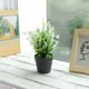 thumbnail image 5 of Gwong Decoración hogareña Flor artificial Planta Pot Bonsai Jardín Home Party Fiesta Decoración de muebles Gwong 21045567, 5 of 7