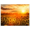 thumbnail image 2 of Yellow Sunset over Sunflowers - Floral Photography Art, 2 of 3