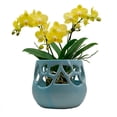 thumbnail image 1 of Maceta Decorativa De Cerámica Esmaltada Para Orquídea Flor De Loto Azul, 1 of 5