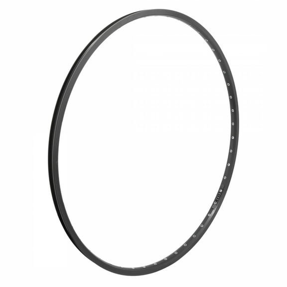 CR-18 Sun Ringle 700C CR-18 Black 48