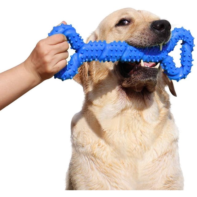 Azul - Juguete masticable de goma resistente a la corrosión de 33 cm (13 pulgadas), con forma de hueso, superficie convexa, para perros pequeños, juguete interactivo resistente para perros pequeños y