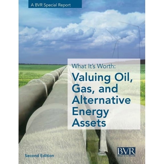 What It's Worth: Valuing Oil, Gas, and Alternative Energy Assets, Second Edition, (Paperback)
