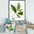thumbnail image 2 of Designart 'Ancient Brazilian Plant I' Traditional Framed Canvas Wall Art Print, 2 of 5