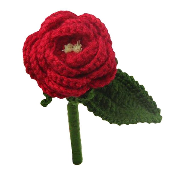 Injueey Kits de ganchillo DIY paquete de material de costura de rosas rojas para adultos amantes del ganchillo Almacenamiento y organización del hogar Rosa