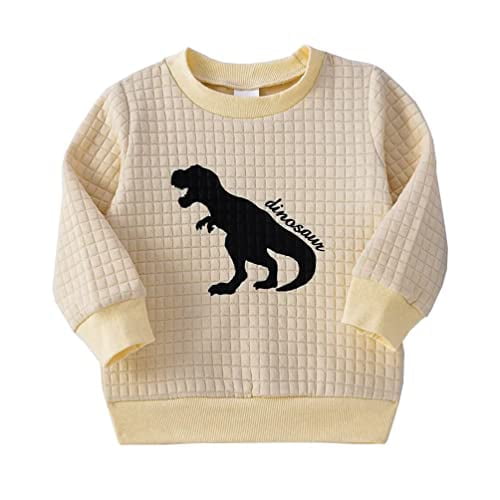 StylesILove Baby Toddler Boys Dinosaur Quilted Pullover Sweatshirt Long Sleeve Jumper Autumn Winter Outfit (Beige, 12 Months)