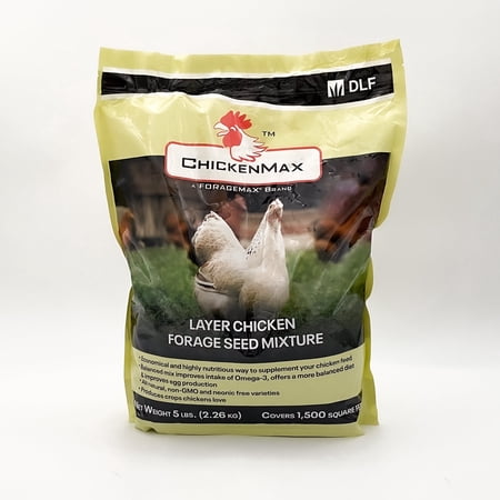 DLF Chicken Max – Forage Seed Mixture for Chickens, Poultry, and Farms – Layer Mix with Clover, Ryegrass, Buckwheat, and Flax – High-Protein Feed for Laying Hens, Chicks, and Coops – 5LB Bag