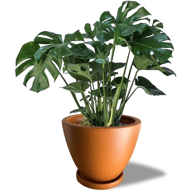 Maceta Ceramica de 25.4 cm con Drenaje y bandeja ocre Elly Decor ED-MCD01BK