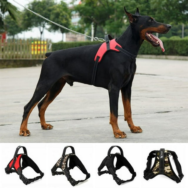 Comfort Control Dog Walking Harness Support Mesh Padded Vest Accessory Collar Lightweight More Pulling Tugging or Choking for Puppies Small Dogs Medium and Large Dogs