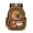 Brown - Cartoon Capybara, variant on DISNIMO Frog Mushroom Printed Girls Backpack Cute School Backpack for Girls Kids Teens Durable Lightweight Bookbag with 1 Main Compartment, Front Zipper Pocket