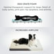 thumbnail image 4 of Cama ortopédica para perros, extra grande, con funda extraíble, 4 of 7