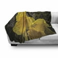 thumbnail image 3 of Dutch Soft Flannel Fleece Throw Blanket, Image of Trumpet Daffodil Flower Known as Dutch Master Photo Print, Cozy Plush for Indoor and Outdoor Use, 50" x 70", Dark Cocoa Earth Yellow, by Ambesonne, 3 of 6
