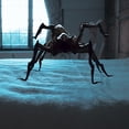 thumbnail image 5 of Itn - Spider in the Attic [DIGITAL VIDEO DISC], 5 of 5
