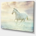 thumbnail image 2 of Cheval Blanc Fantastique - Impression sur Toile Animal, 2 of 3