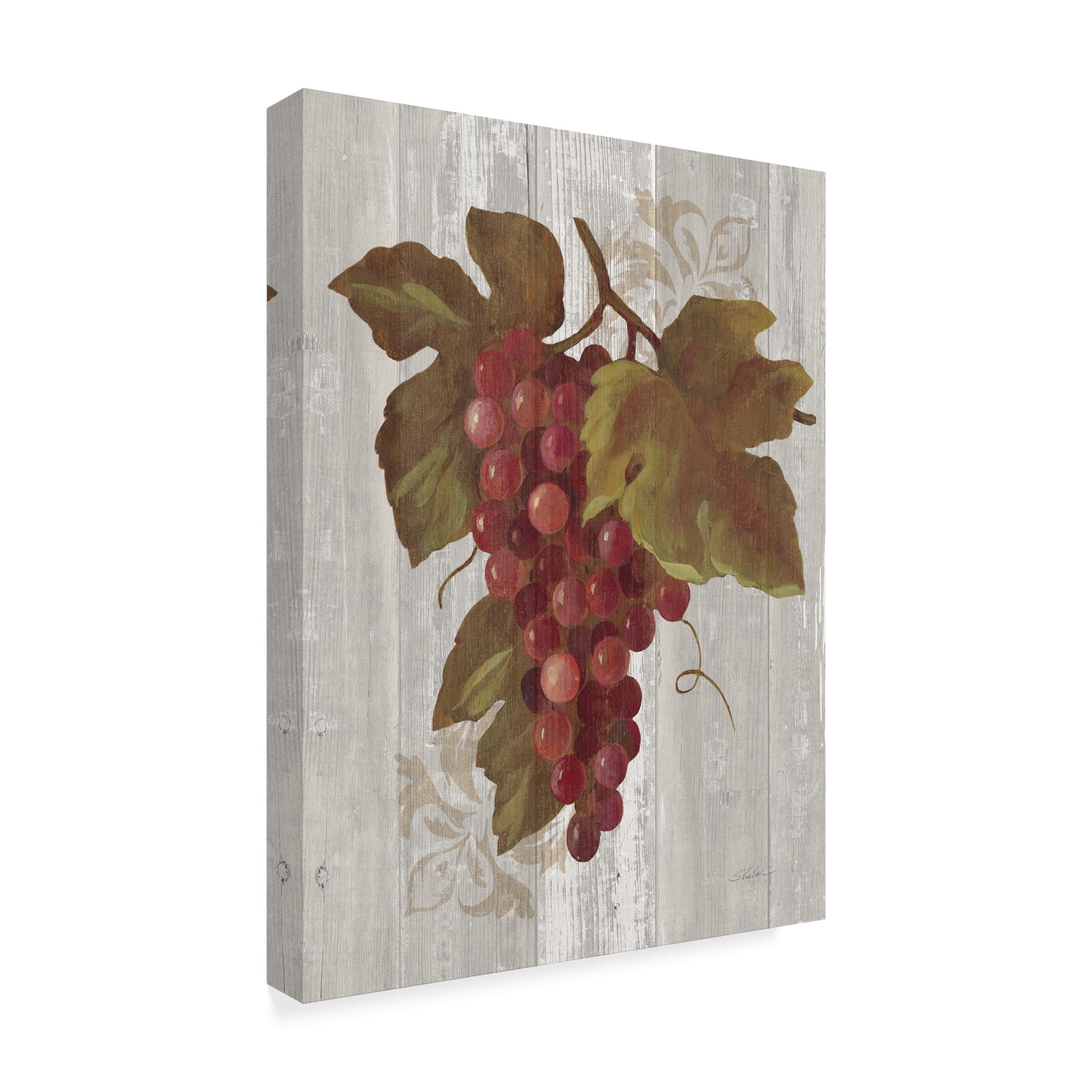 Trademark Fine Art 'Autumn Grapes III on Wood' Canvas Art by Silvia Vassileva