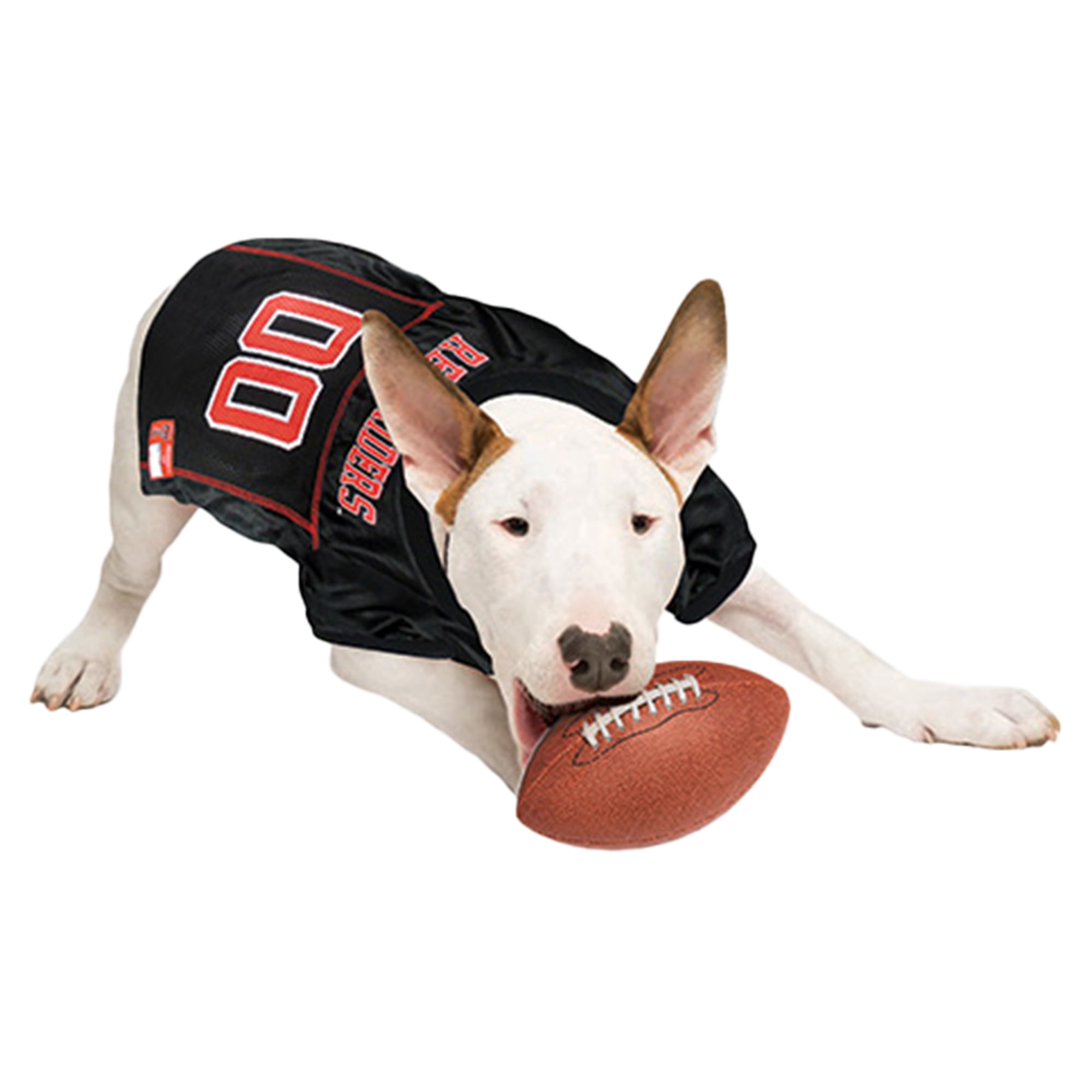 Texas Tech Red Raiders Mesh Dog Football Jersey