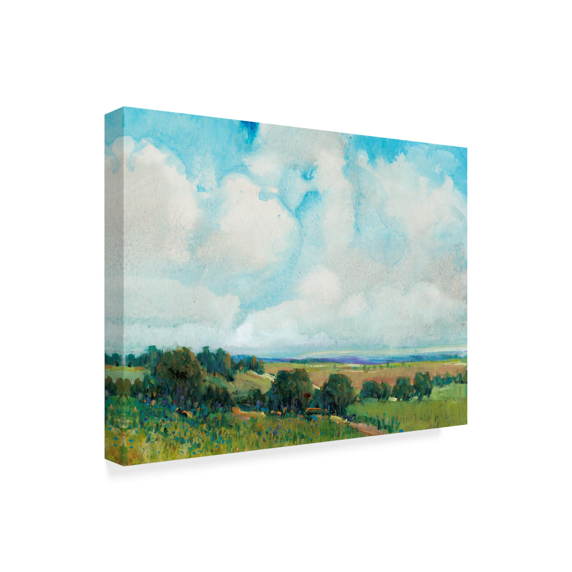 Trademark Fine Art 'Looming Clouds I' Canvas Art by Tim OToole