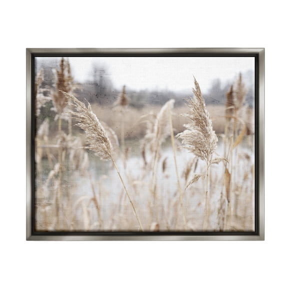 Rural Pampas Grass Reeds Lakeside Pond Marsh Gray Floating Frame Canvas Art, 31 x 25