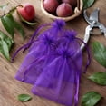 thumbnail image 5 of 100Pcs Fruit Protection Bags, Green Netting Cover Bags Drawstring Mesh Fruit Protectors Pest Barrier for Tomato Mango Trees Veggies Garden(S,Purple), 5 of 6