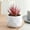 Artificial Succulents Plant Under $5 a6980, variant on MORESEC under $5 Artificial Succulents Plant, Mini Artificial Succulents in Plastic Pots Fake Plants, Indoors Office Home Decor Desk Decor for Women, Realistic Faux Succulents Greenery