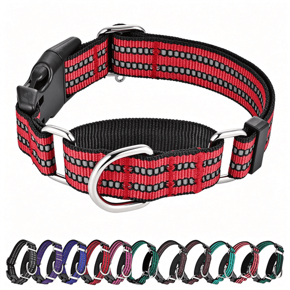 GASTROPOD Martingale Dog Collars Reflective Nylon Dog Collar with Quick Release Buckle Adjustable Training No Slip Dog Collar, Durable Dog Collar (Medium, Red)