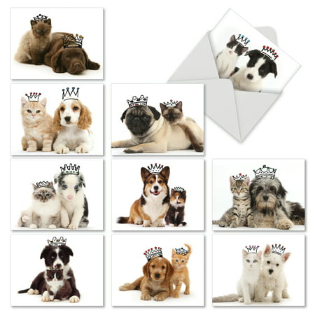 M6596OCB COPY CATS' 10 Assorted All Occasions Notecards Featuring Cats and Dogs That Have Similar Markings Wearing Crowns, with Envelopes by The Best Card
