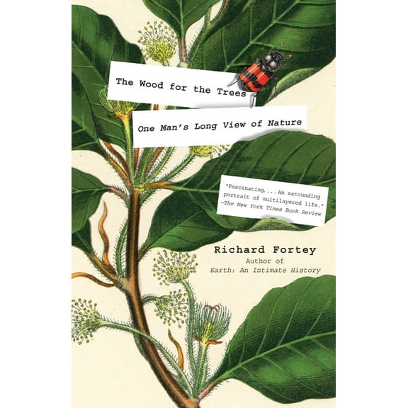 The Wood for the Trees (Paperback)