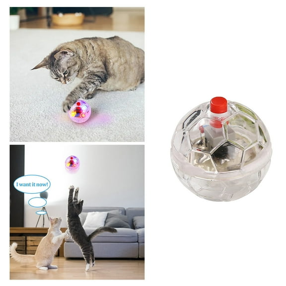 Light Up Cat Balls, Led Motion Activated Cat Ball Cat Interactive Toys Exercise Ball for Kitten Dog Pet Animals Activity Clear